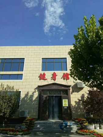 专业的实木运动地板报价