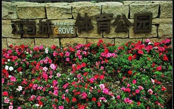 指接板运动篮球地板每平米价格
